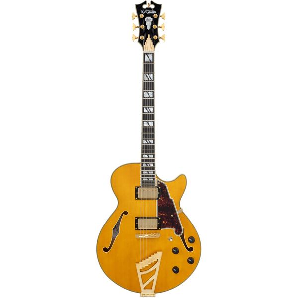 DAngelico Excel SS Amber