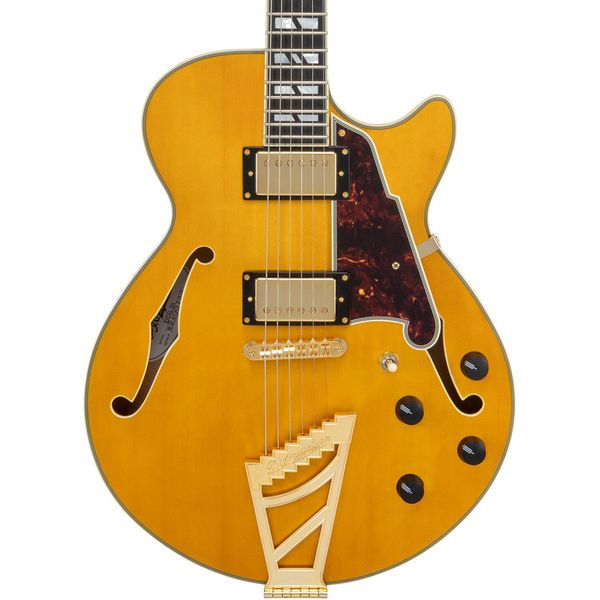 DAngelico Excel SS Amber