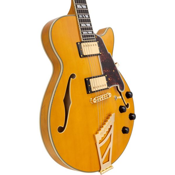 DAngelico Excel SS Amber