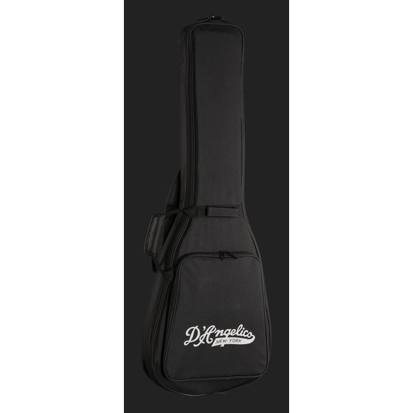 DAngelico Excel SS Amber