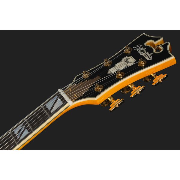 DAngelico Excel SS Amber