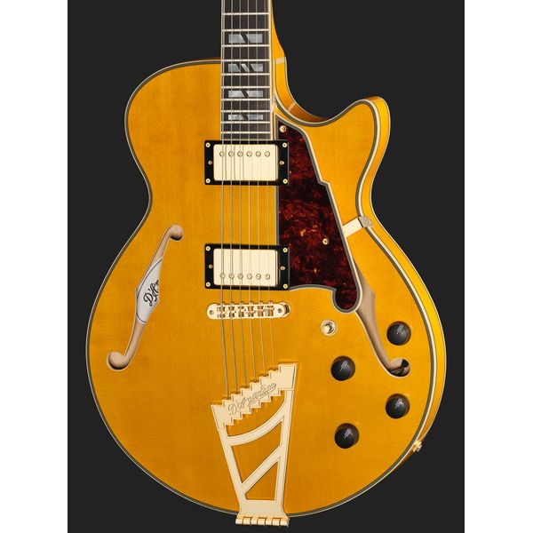 DAngelico Excel SS Amber
