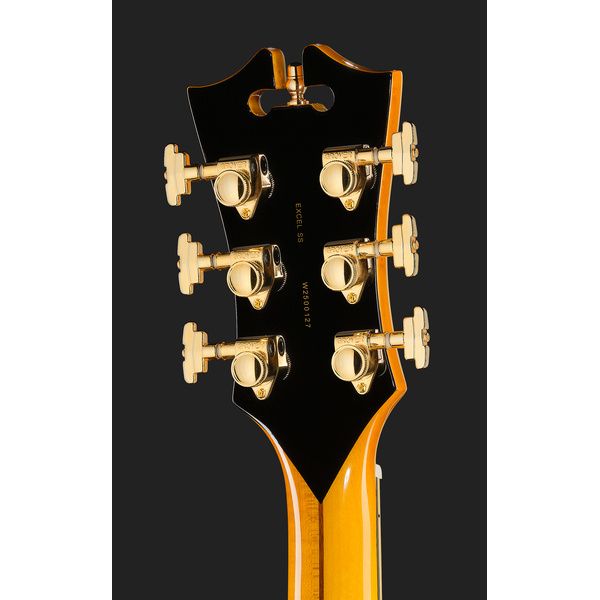 DAngelico Excel SS Amber