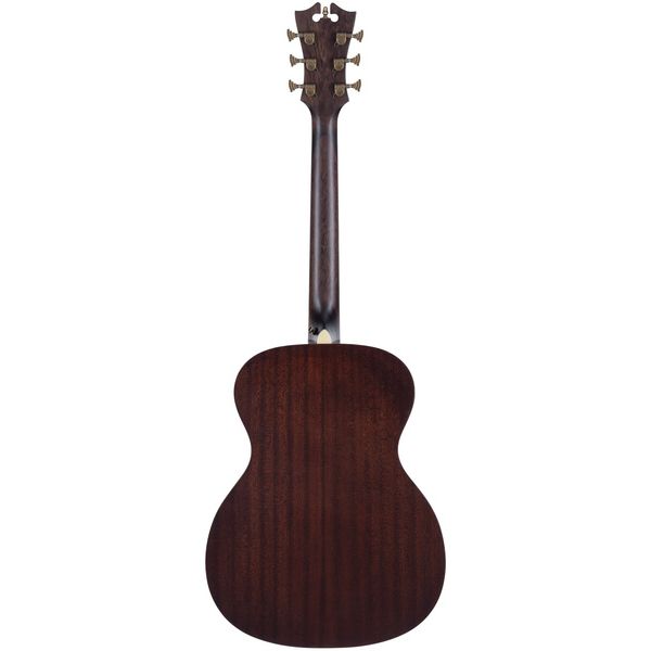 DAngelico Premier Tammany Aged Burst