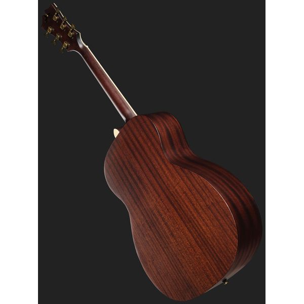 DAngelico Premier Tammany Aged Burst