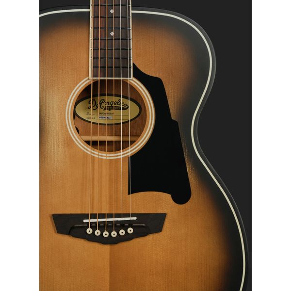 DAngelico Premier Tammany Aged Burst