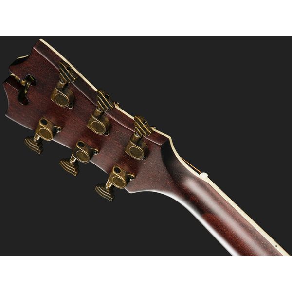 DAngelico Premier Tammany Aged Burst