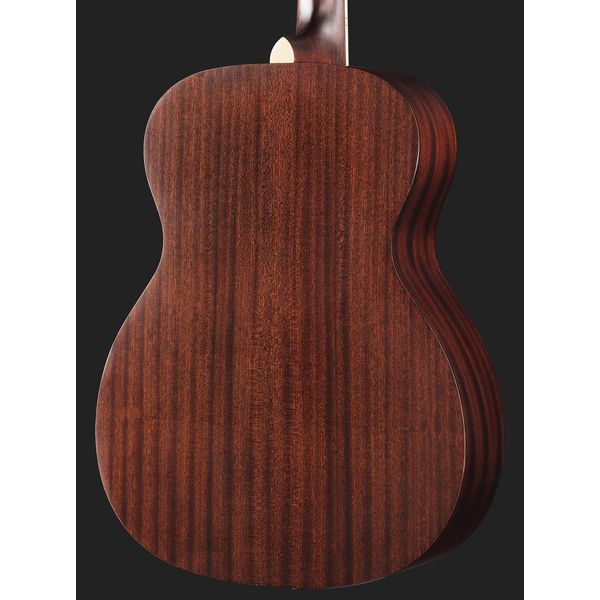 DAngelico Premier Tammany Aged Burst