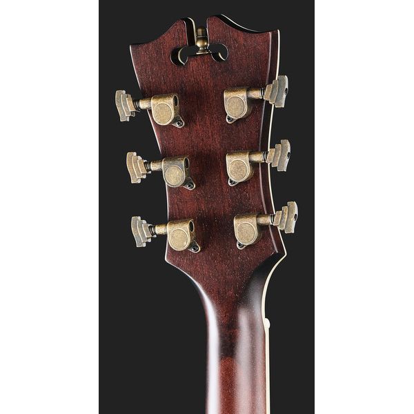 DAngelico Premier Tammany Aged Burst