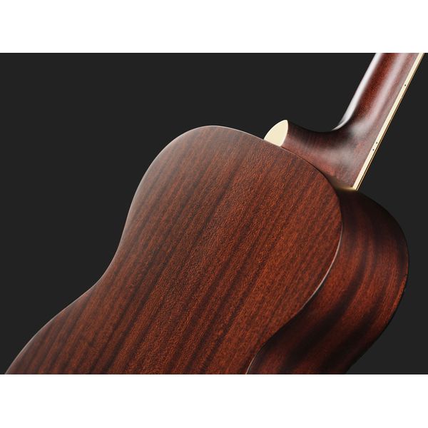 DAngelico Premier Tammany Aged Burst