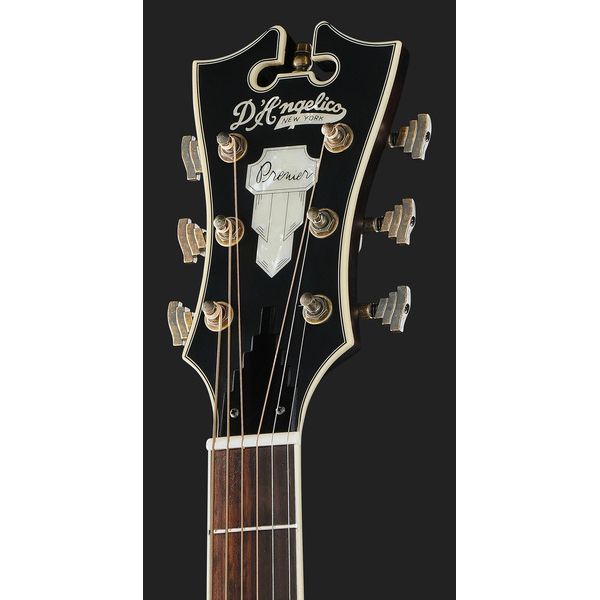 DAngelico Premier Tammany Aged Burst