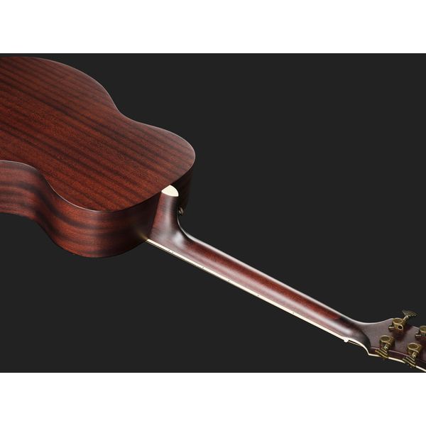DAngelico Premier Tammany Aged Burst