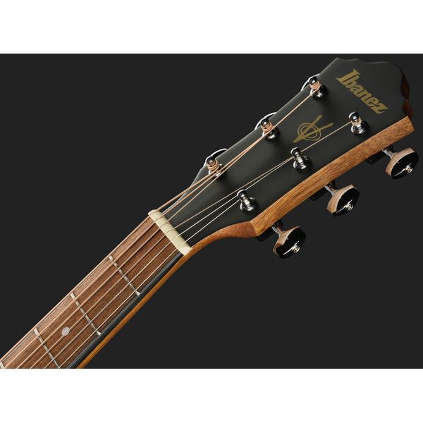 Ibanez VC44CE-OPN