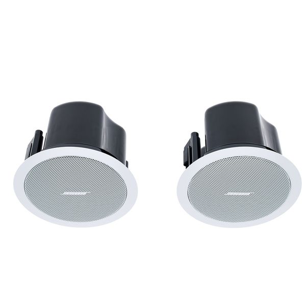 Bose Professional Veritas 1100BH/FS2C W Bundle