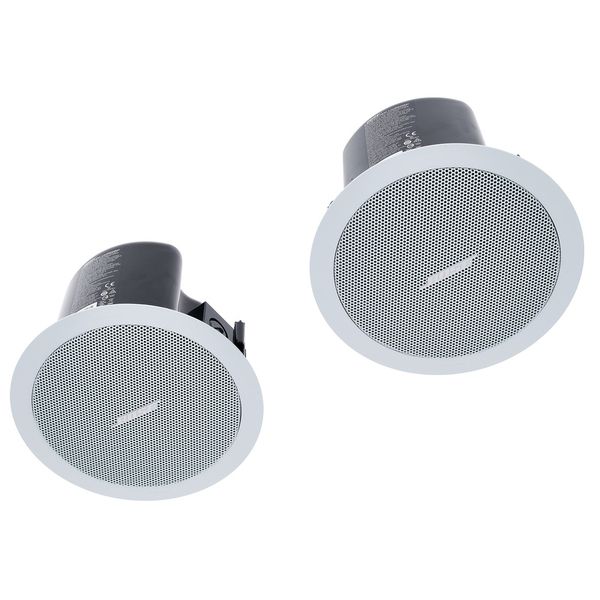 Bose Professional Veritas 1100BH/FS2C W Bundle
