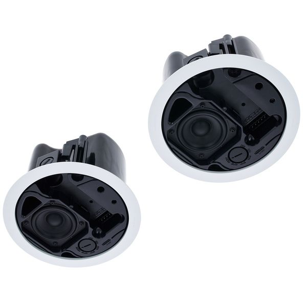 Bose Professional Veritas 1100BH/FS2C W Bundle