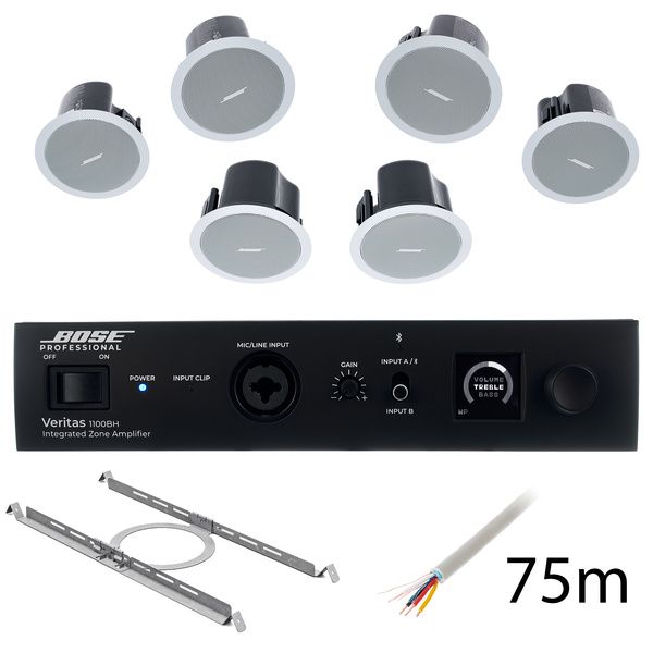 Bose Professional Veritas 1100BH/FS2C W Bundle