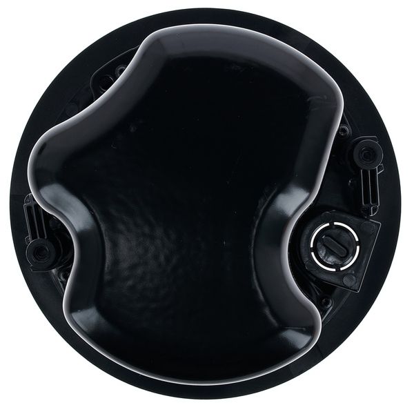 Bose Professional Veritas 1100BH/FS2C B Bundle