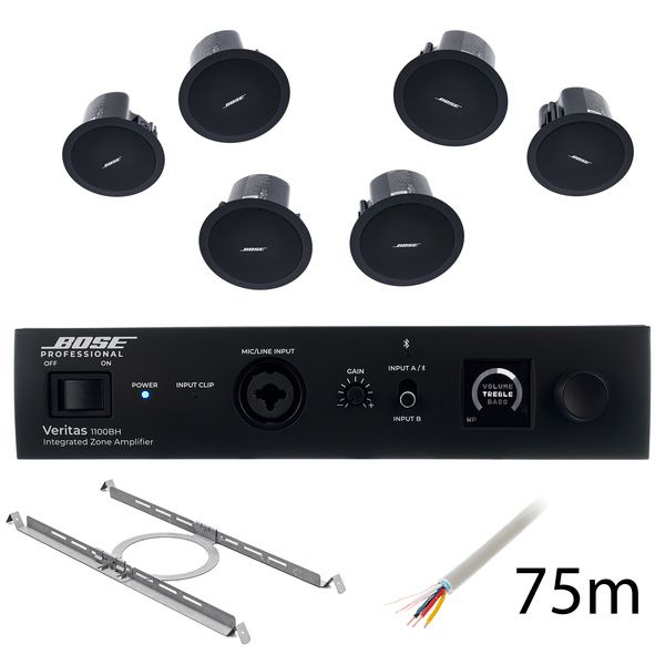 Bose Professional Veritas 1100BH/FS2C B Bundle