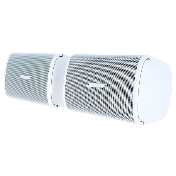 Bose Professional Veritas 1100BH/DM3SE W Bundle