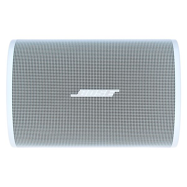 Bose Professional Veritas 1100BH/DM3SE W Bundle