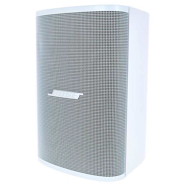 Bose Professional Veritas 1100BH/DM3SE W Bundle
