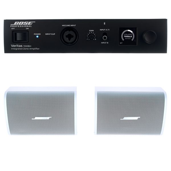 Bose Professional Veritas 1100BH/DM3SE W Bundle