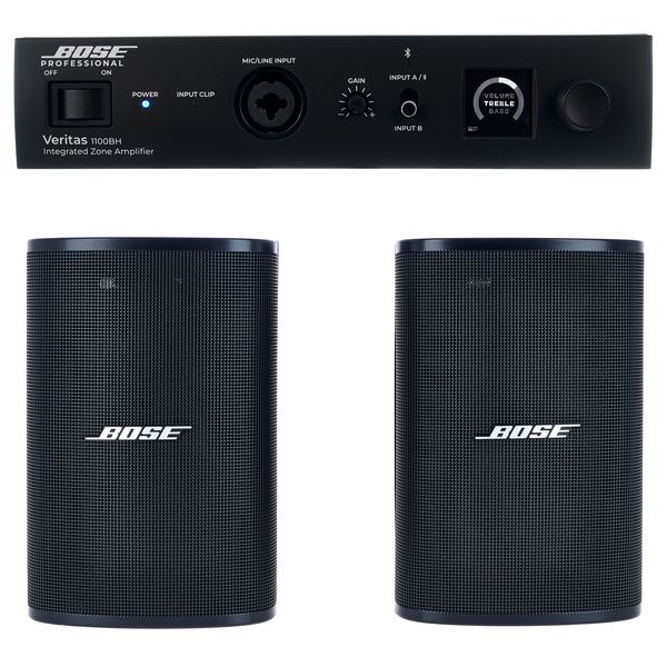 Bose Professional Veritas 1100BH/DM3SE B Bundle