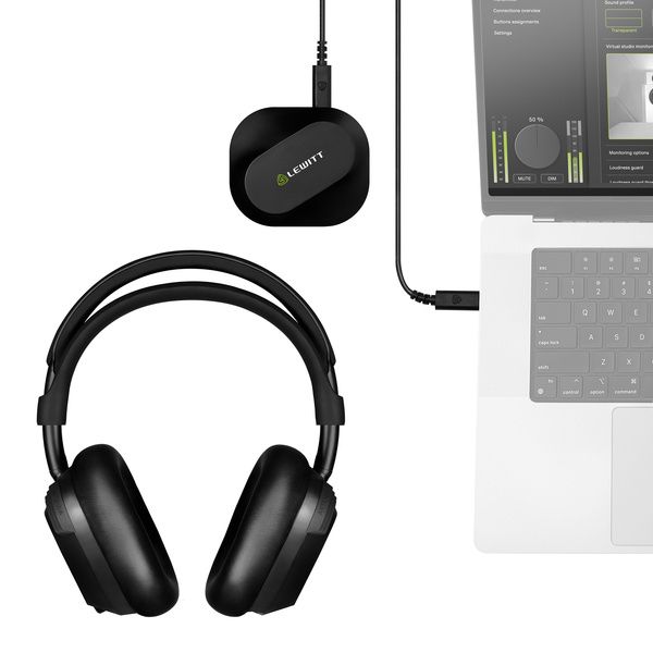 Lewitt LW6