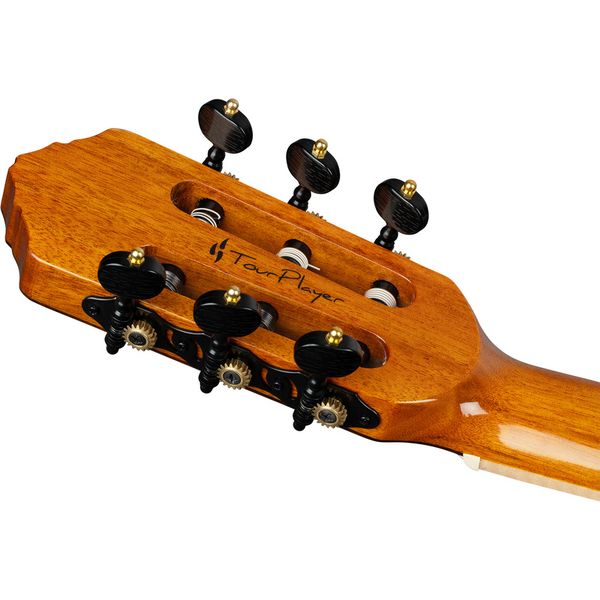 Ortega RTP-LTD2