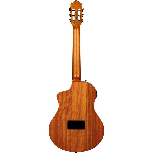 Ortega RTP-LTD2