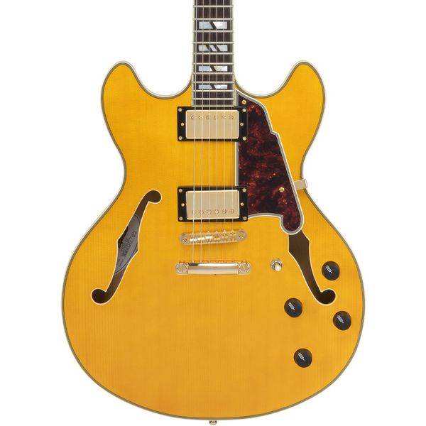 DAngelico Excel DC Amber