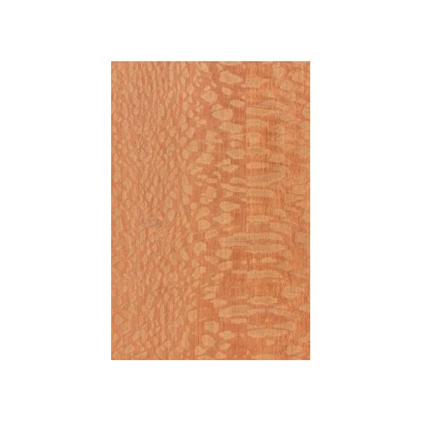 Bulldog Dragon One Sunburst Lacewood