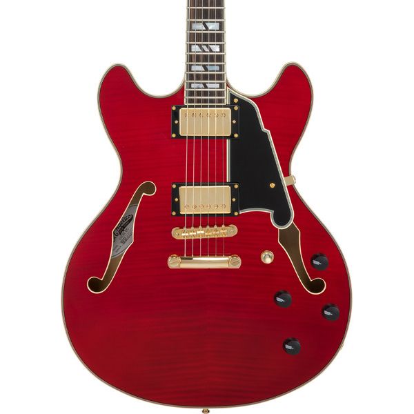 Dangelico Excel DC Trans Cherry 2025