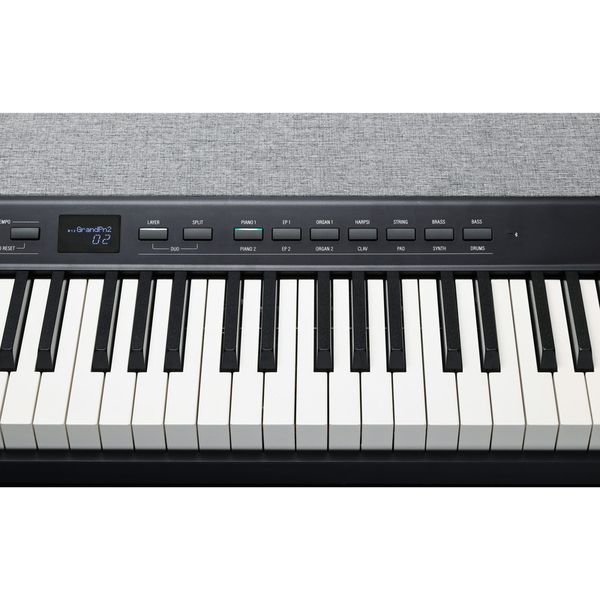 Kurzweil KaP1-LB