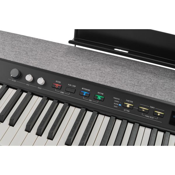 Kurzweil KaP1-LB