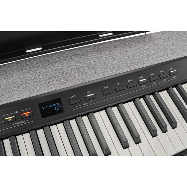 Kurzweil KaP1-LB