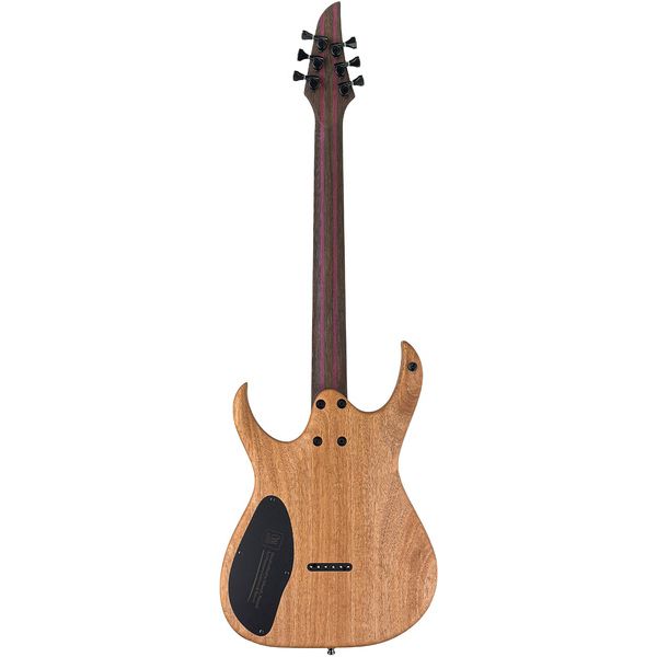 Mayones Guitars Duvell Elite 6 Purple Burst