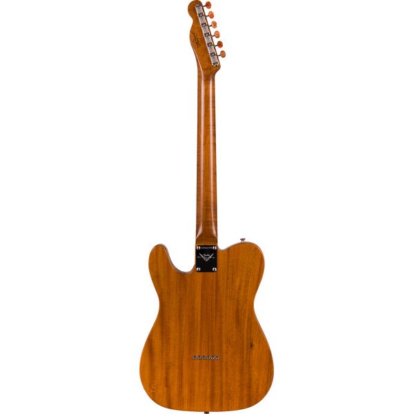 Fender LTD Artisan Tele Burl Dual P90
