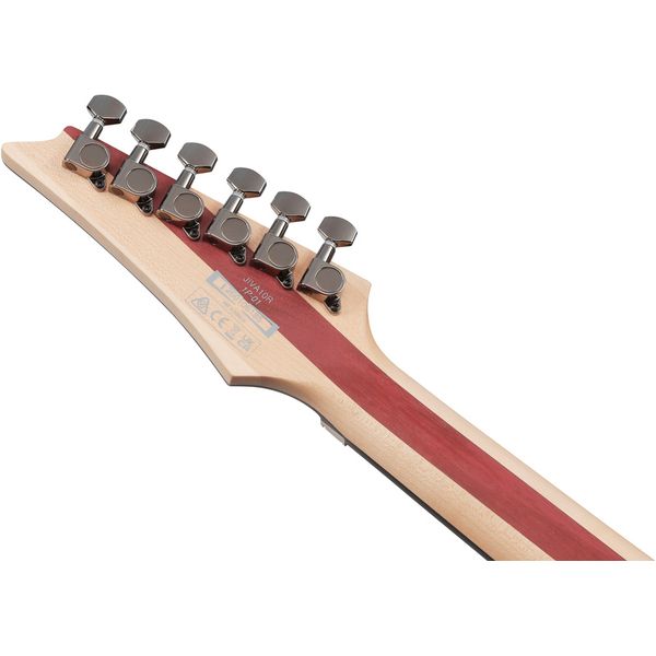 Ibanez JIVA10R-TRC