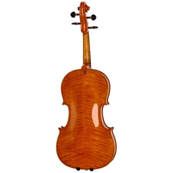 Rainer W. Leonhardt M. Viola Der Helle Stern 40,5