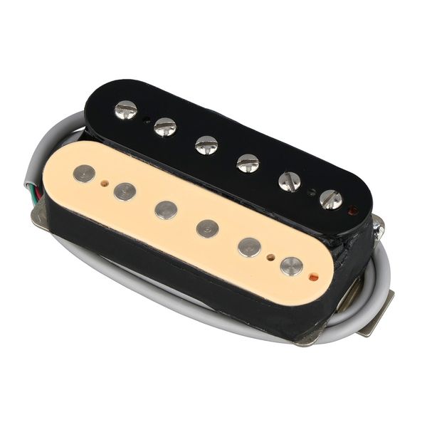 Gibson ELEV8 Rhythm Zebra