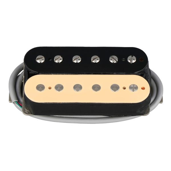 Gibson ELEV8 Rhythm Zebra