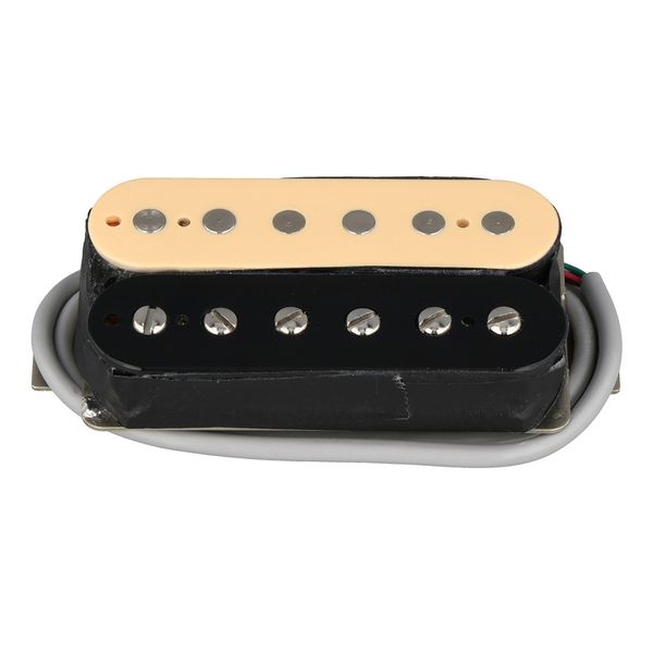 Gibson ELEV8 Rhythm Zebra