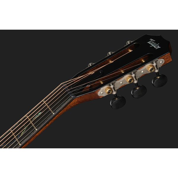 Taylor PS12ce 12-Fret Next Generation
