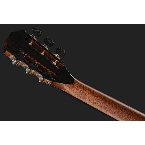 Taylor PS12ce 12-Fret Next Generation