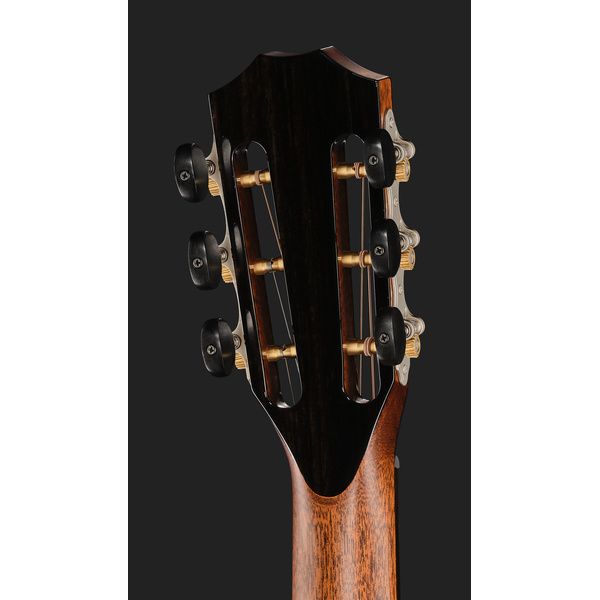Taylor PS12ce 12-Fret Next Generation