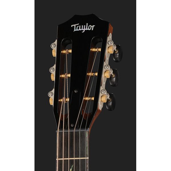 Taylor PS12ce 12-Fret Next Generation