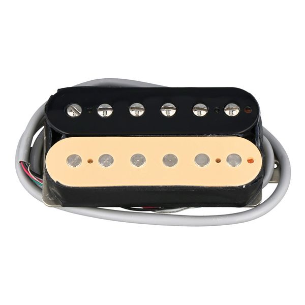 Gibson ELEV8 Underwound Rhythm Zebra