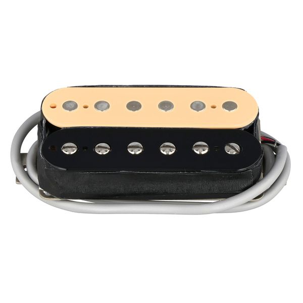 Gibson ELEV8 Underwound Rhythm Zebra